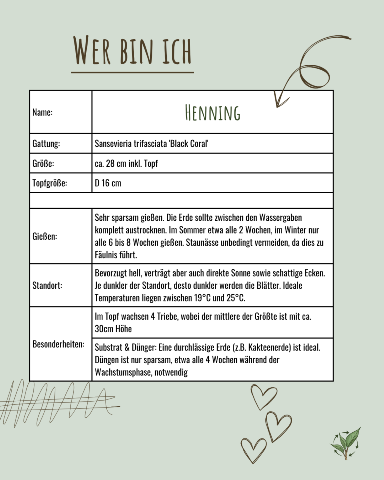 2026-011 Henning