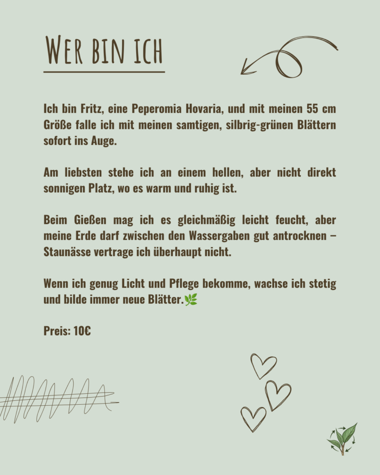 2026-009 Fritz